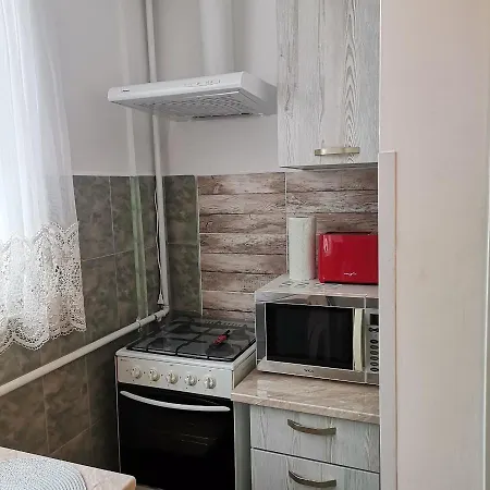 Apartman Garsoniera Braicu *