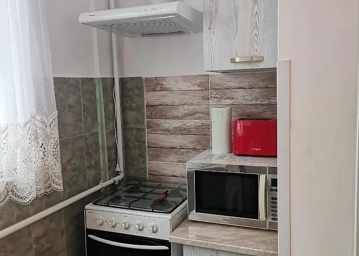 Apartman Garsoniera Braicu *
