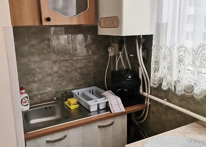 Garsoniera Braicu * Kluž